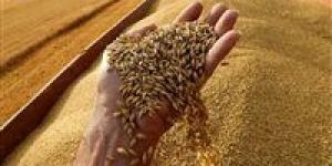 Egypt's Sisi ordered huge wheat purchase fearing new supply crisis، sources say