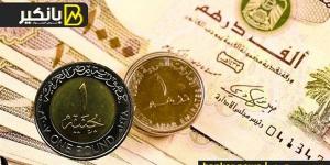 سعر الدرهم الإماراتي أمام الجنيه المصري في تعاملات اليوم السبت 31-8-2024