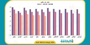 السعودية تمول 3 شحنات غاز مسال إلى مصر.. وليبيا تسهم بـ50 مليون دولار