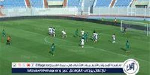 جامبيا تقتنص نقطة ثمينة أمام جزر القمر في تصفيات كأس أمم إفريقيا