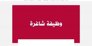 وظيفة جامعة.. الجامعة الليبية الدولية تعلن عن وظائف أعضاء هيئة تدريس في 14 تخصص