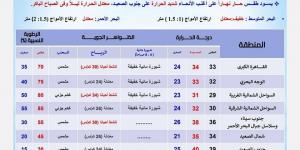 أجواء حارة وشبورة.. الأرصاد تكشف تفاصيل طقس الجمعة بدرجات الحرارة - مصر بوست