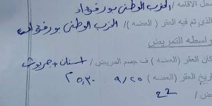 اليوم العالمي للسعار.. كلب يعقر طفلا في بورسعيد - مصر بوست