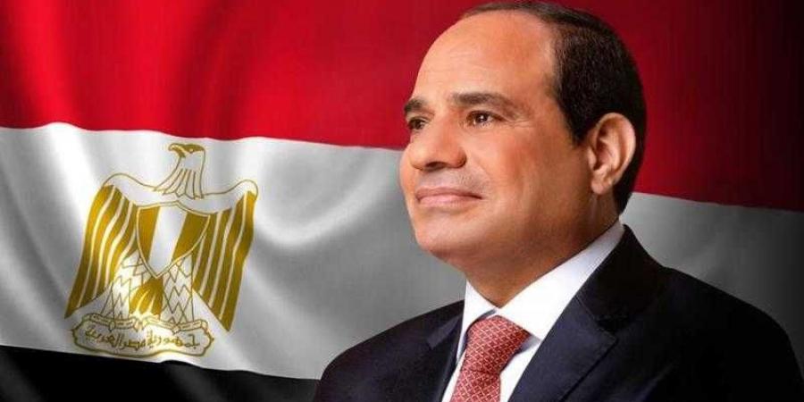 الرئيس السيسي يشهد العرض الجوي على هامش معرض مصر للطيران والفضاء