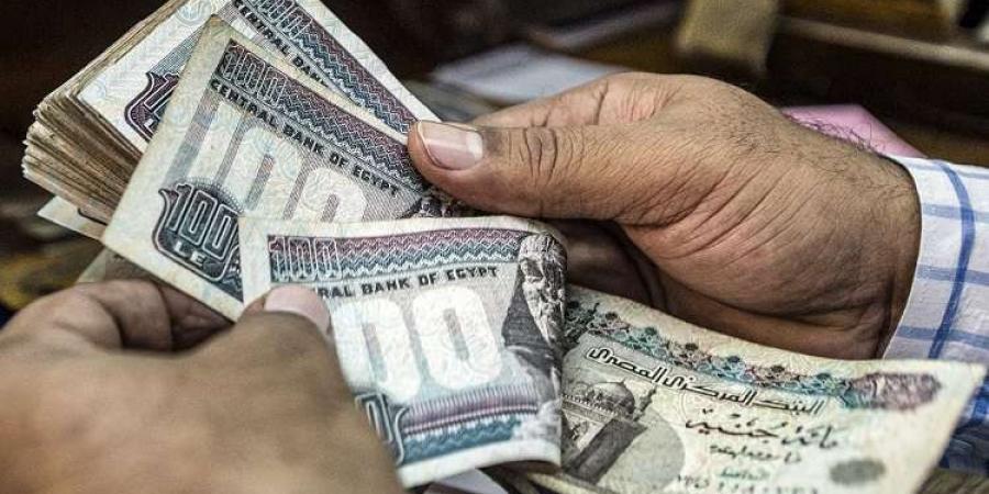 عاجل| الحكومة تزف بشرى سارة لمستفيدي تكافل وكرامة يوم المولد النبوي الشريف