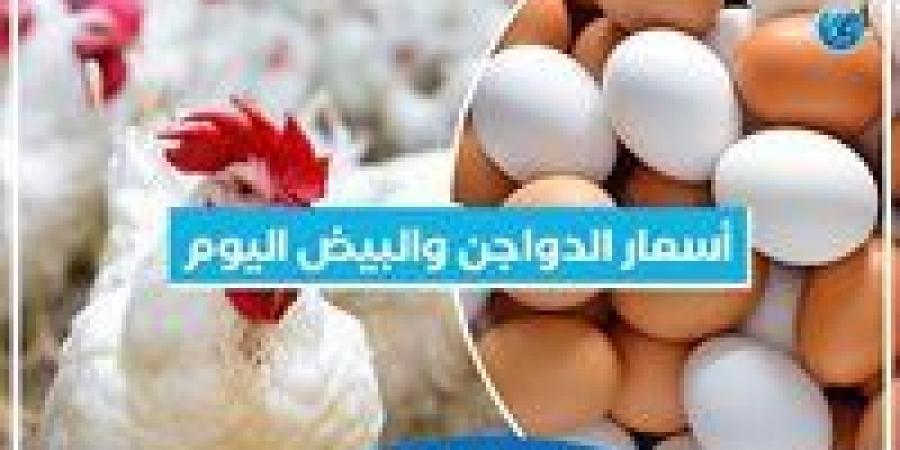 أسعار الدواجن والبيض اليوم الأحد 15-9-2024 بمحافظة البحيرة