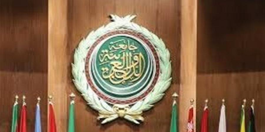 رئيس بعثة الجامعة العربية: مشروع الجمعية العامة ...