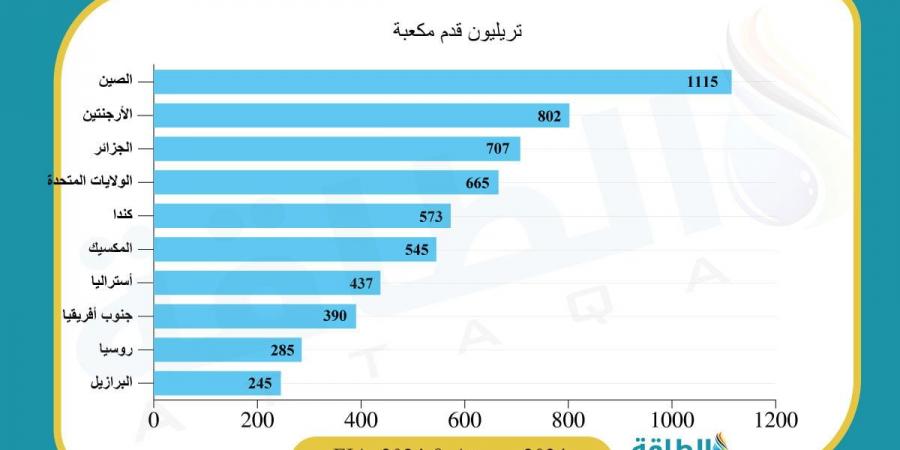 صناعة النفط والغاز في الجزائر ستظل داعمة لأوروبا.. والطاقة المتجددة سلاح دبلوماسي