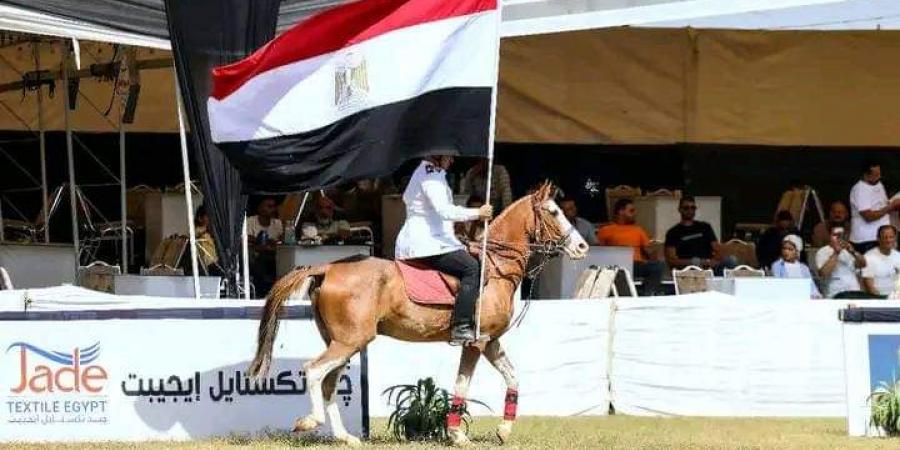 الشرقية تتزين لانطلاق مهرجان الخيول العربية الأصيلة - مصر بوست