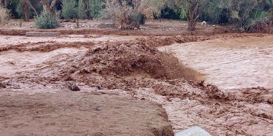 السلطات المحلية بطاطا ترمي بكرة تعويض المتضررين في ملعب الحكومة