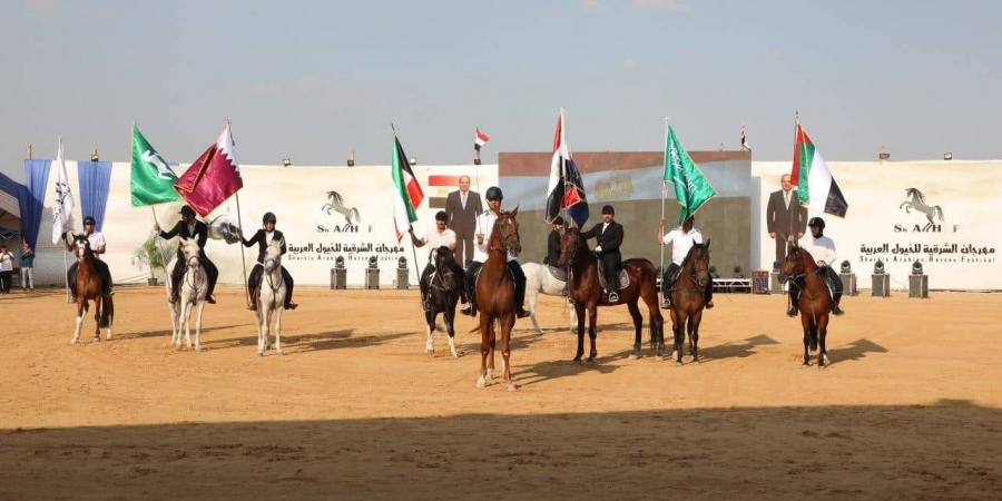 مصر: مهرجان الخيول العربية الأصيلة يلفت الاهتمام - مصر بوست