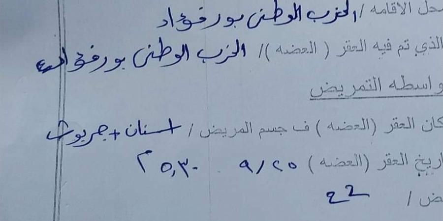 اليوم العالمي للسعار.. كلب يعقر طفلا في بورسعيد - مصر بوست