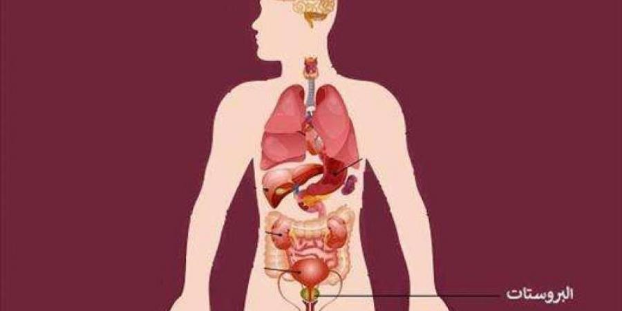 أسباب تضخم البروستاتا عند كبار السن.. تعرف عليها