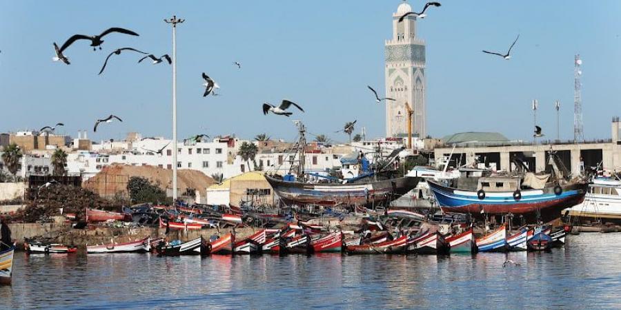 الصيادون المغاربة يرصدون تراجع الثروة السمكية على الواجهة المتوسطية