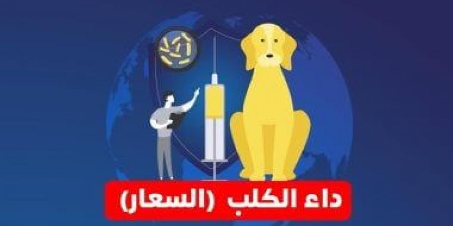 وزارة الصحة توجة 4 نصائح هامة يجب اتباعها عند الخدش من حيوان مصاب بالسعار - مصر بوست