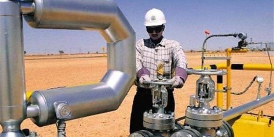 أستاذ هندسة: 73% من الطاقة ستنتج من مصادر غير الغاز والبترول بحلول 2040