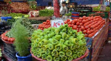 محدث.. سعر الخضار والفاكهة في السوق اليوم الأربعاء 18-10-2023