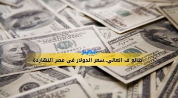 الحق شوف..سعر الدولار في مصر اليوم الأحد 3-9-2023 ..اوعا البريكس