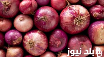 أسعار البصل اليوم بالطن بتاريخ 12 نوفمبر 2023 واسعار جميع الخضراوات بالأسواق المصرية