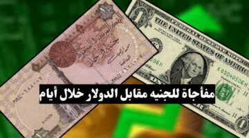 مفأجاة يفجرها متحدث الوزراء بشأن سعر الجنيه المصري مقابل الدولار.. هيوصل 36