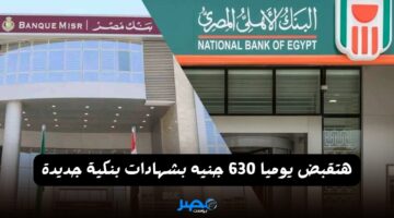 630 في اليوم وانتا في بيتك.. البنك الأهلي وبنك مصر يقدمان شهادات جديدة بعائد يومي