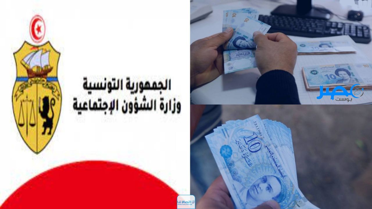 «هدية العيد» رابط منحة 300 دينار التونسية 2024 والفئات المستحقة… قدم الآن