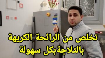 بخلطة بسيطة هتتخلصي من كل الروائح الكريهة في الفريزر في وقت قياسي