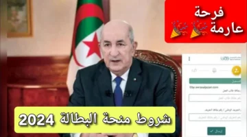 رابط تجديد منحة البطالة كل ستة أشهر في الجزائر.. وشروط تجديدها