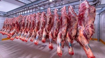 اللحمة في النازل.. سعر اللحوم اليوم الاثنين 22 أبريل في محلات الجزارة