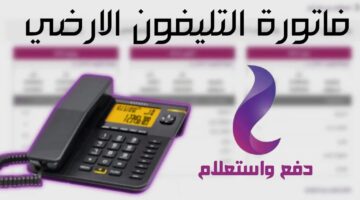 الاستعلام عن فاتورة التليفون الأرضي شهر مايو 2024 عبر موقع المصرية للاتصالات we