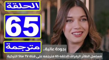 بجودة عالية.. مسلسل الطائر الرفراف الحلقة 65 مترجمة Yali Çapkini على قناة Star TV التركية