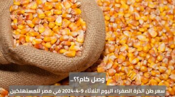 وصل كام؟؟.. سعر طن الذرة الصفراء اليوم الثلاثاء 9-4-2024 في مصر للمستهلكين