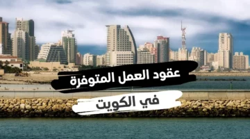 فرصة عظيمة للمصريين.. خطوات استخراج تأشيرة الكويت 2024 والشروط المطلوبة