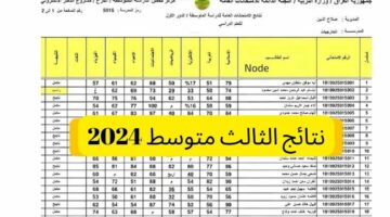 مبروك للناجحين.. رابط نتائج الثالث المتوسط الدور الأول 2024 pdf في عموم العراق