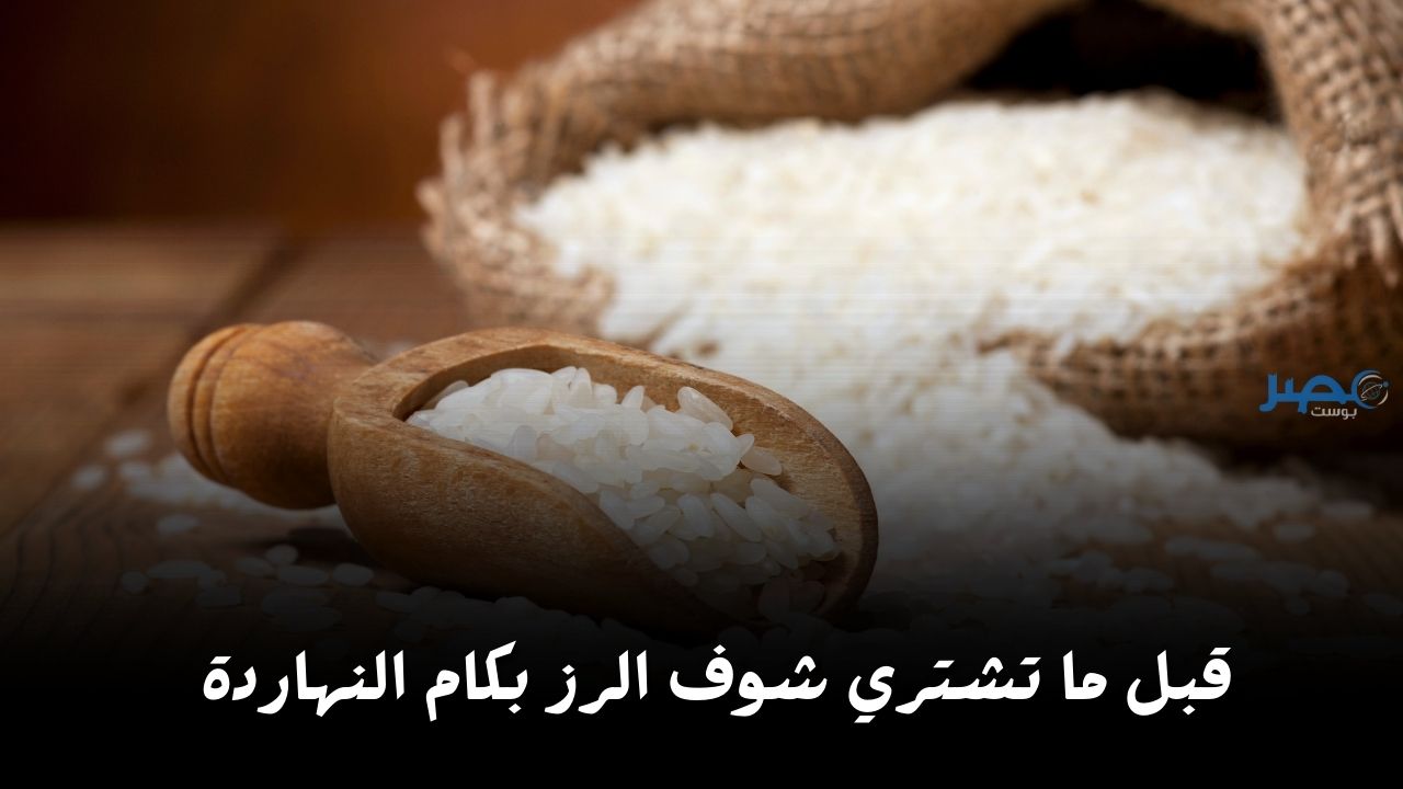 هبوط مستمر.. شوف سعر الأرز اليوم السبت 13 أبريل في الأسواق بكام