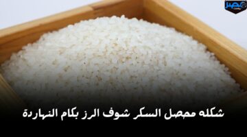 ياتري هيلحق السكر.. أعرف سعر الأرز اليوم الأربعاء 17 أبريل 2024 في السوق وصل كام