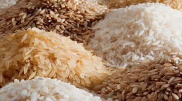 ببلاش يا رز.. تعرف على أسعار الأرز اليوم الخميس 18 أبريل في السوق بكام
