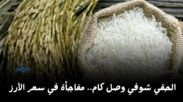 الكيلو هينزل؟!.. شوف على سعر الأرز اليوم الثلاثاء 16 أبريل وصل لكام في الأسواق