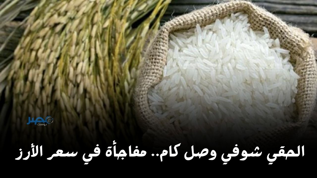 الحقي شوفي وصل كام.. مفاجأة في سعر الأرز اليوم الاثنين 15 أبريل في الأسواق