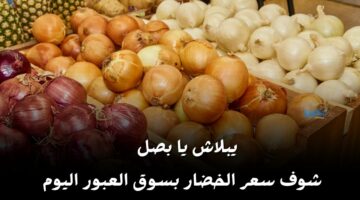 البصل برخص التراب.. شوف أسعار الخضروات اليوم السبت 13 أبريل في السوق وصلت كام