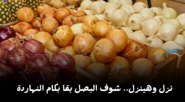 مفاجأة في أسعار البصل اليوم الثلاثاء 9 أبريل في السوق شوف وصل كام الكيلو