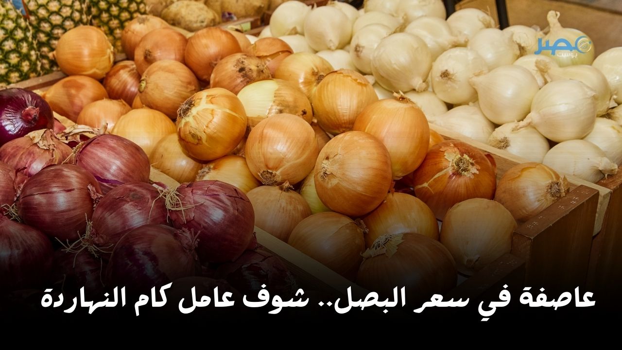 يابلاش يابصل؟.. أعرفي سعر الخضروات والفاكهة اليوم الجمعة 3 مايو 2024 في السوق