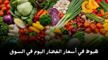 اتبهدلتي يا بطاطس.. شوف أسعار الخضروات اليوم الاثنين 15 أبريل في سوق العبور بكام