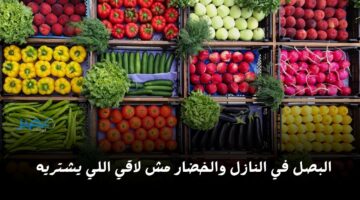 البصل في النازل والخضار مش لاقي اللي يشتريه.. شوف سعر الخضار والبصل النهاردة عامل كام