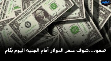 مش عامل حساب لحد.. شوف سعر الدولار أمام الجنيه اليوم الأربعاء 17 أبريل وصل كام