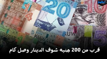 بكام النهاردة.. أسعار الدينار الكويتي مقابل الجنيه المصري اليوم الأحد 5-5-2024 للبيع والشراء