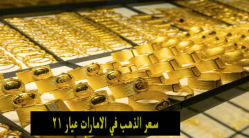 هبوط ملحوظ… سعر الذهب في الامارات عيار 21 اليوم الأربعاء 17 أبريل 2024
