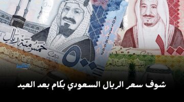بعد إجازة العيد.. سعر الريال السعودي أمام الجنيه المصري اليوم الأحد 14 أبريل في البنوك