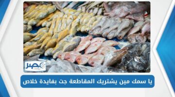“المقاطعة بفايدة” أسعار السمك اليوم بسوق العبور للمستهلكين بسعر ولا الخيال