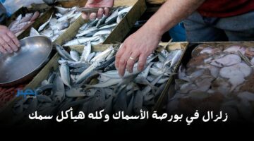 كله هيفصص سمك.. شوف بورصة السمك النهاردة حصلها ايه عشان سعر اليوم الخميس بقا في النازل